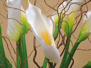 wedding florists manhattan midtown upper east nyc florists wedding flowers