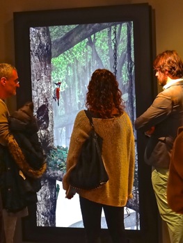 the salon art + design nyc