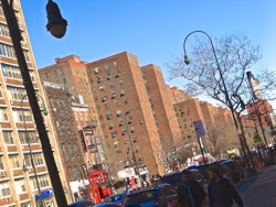 stuyvesant town farmers market east village farmers markets nyc photos