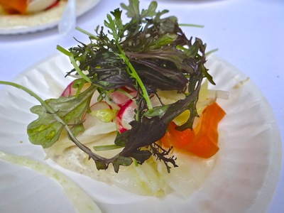 taste of tribeca taste