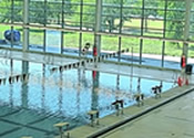 manhattan free public swimming pools manhattan nyc